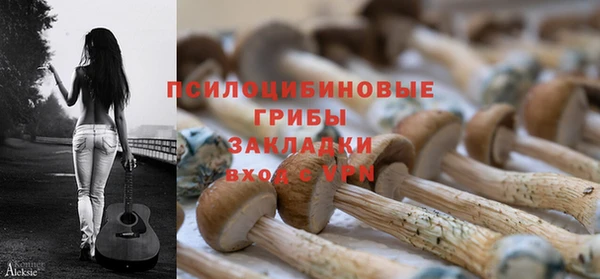 каннабис Каменногорск