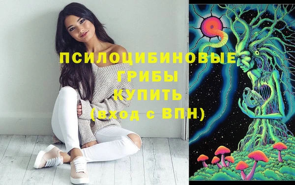 2c-b Каменск-Шахтинский