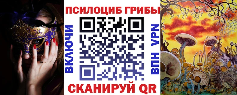 закладки  МЕГА ТОР  Галлюциногенные грибы Cubensis  Красноярск 