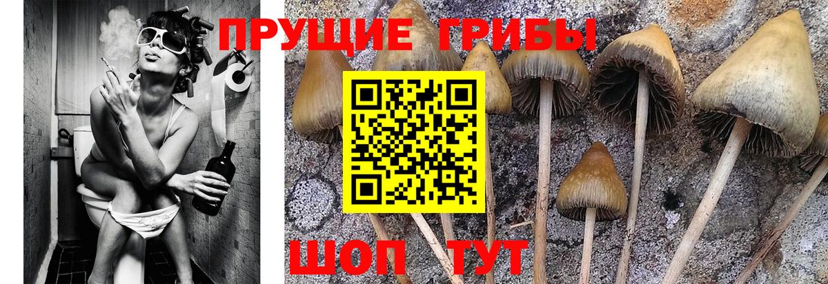 Псилоцибиновые грибы Magic Shrooms Красноярск