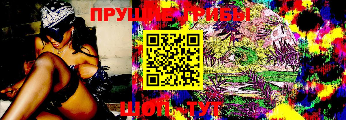 Галлюциногенные грибы ЛСД  Вход с VPN  Красноярск 