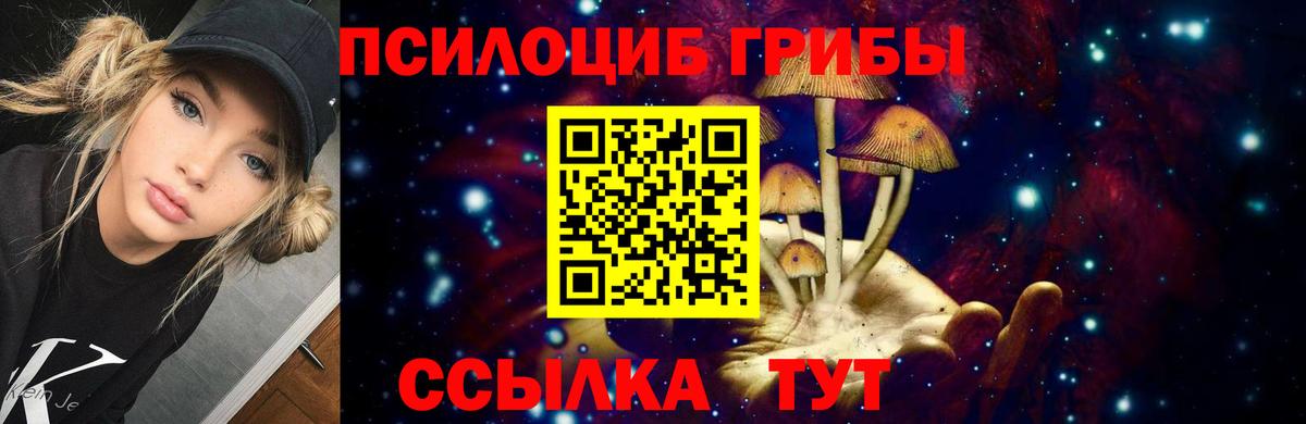 Псилоцибиновые грибы Cubensis  Псилоцибиновые грибы прущие грибы  Красноярск 